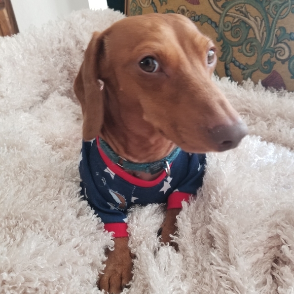 Meet your Posher, Susan - Picture 8 of 8